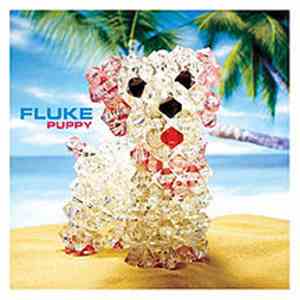 Fluke - Puppy
