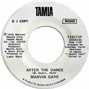 Marvin Gaye - After The Dance