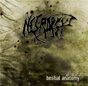 Necropsy  - bestial anatomy
