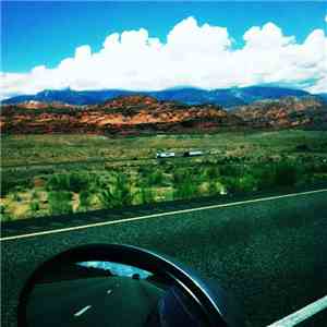 Stephin Merritt - Songs from This American Life - Episode 541: Regrets, I'v ...