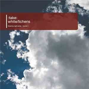 :take: / White/Lichens - Three:Four Split Series - Volume 1