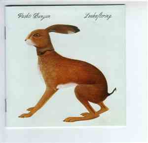 Vashti Bunyan - Lookaftering