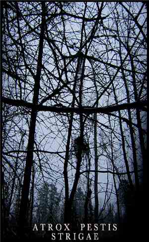 Atrox Pestis / Strigae - Atrox Pestis / Strigae split