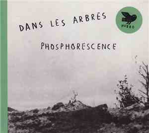 Dans Les Arbres - Phosphorescence