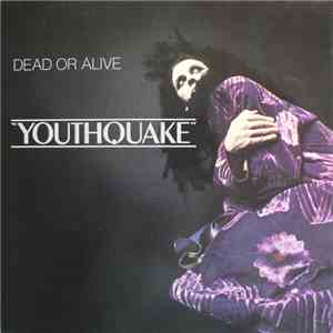 Dead Or Alive - Youthquake
