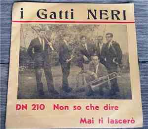 I Gatti Neri - Mai ti lascero` / Non so che dire