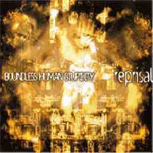 Reprisal - Boundless Human Stupidity