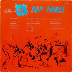 Unknown Artist - The 16 Top Tunes