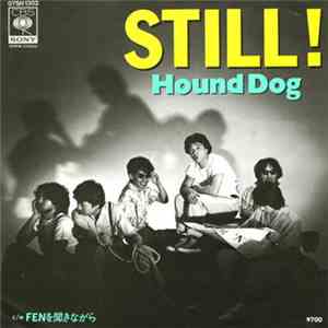 Hound Dog  - Still!