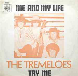 The Tremeloes - Me And My Life / Try Me