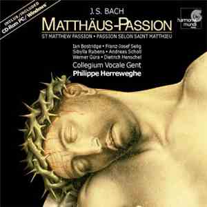 J.S. Bach - Ian Bostridge, Franz-Josef Selig, Sibylla Rubens, Andreas Schol ...