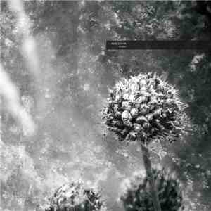Aes Dana - Pollen
