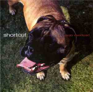 Shortcut  - Asio Overload