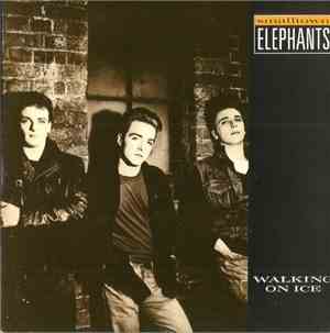 Smalltown Elephants - Walking On Ice