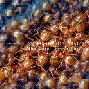 Sympathetic Division - The Quiet Hierachies