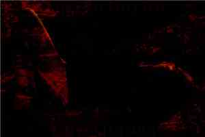 Death Frees Every Soul / Werewolf Jerusalem - Split