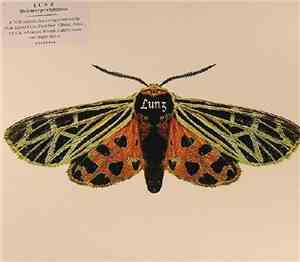 Lunz - Lunz Reinterpretations