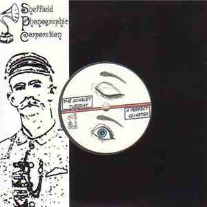 Balor Knights / The Scarlet Tuesday - Banana Split Single