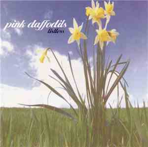 Pink Daffodils - Listless