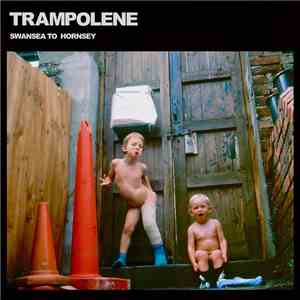 Trampolene - Swansea To Hornsey