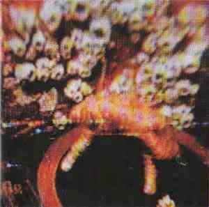 Various - ¡Music For The Psych-Eye!